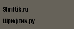 Alumni Sans Bold 