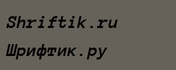 Anonymous Pro Bold Italic 
