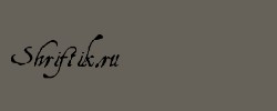 Aquiline 