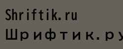 BIZ UDGothic Bold 