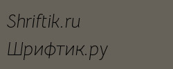 Bellota Text Light Italic 
