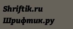 Bitter Black Italic 