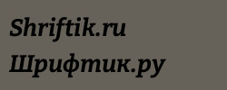 Bitter Bold Italic 