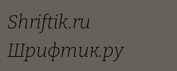 Bitter Light Italic 