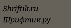 Bitter Medium Italic 