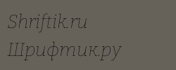 Bitter Thin Italic 