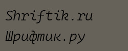 Cascadia Mono Light Italic 