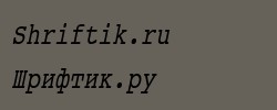 Courier Condensed Italic 