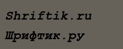 Courier New Cyr Bold Italic 