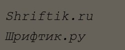 Courier New Cyr Italic 