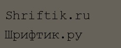 Courier Stylus 