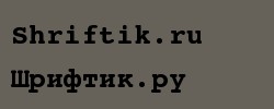 Courier 10 Pitch Bold WGL4 BT 
