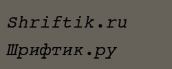 Courier10 WGL4 BT Italic 