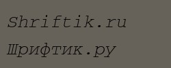 CourierWINCTT Italic 
