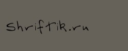 FlintsHand 