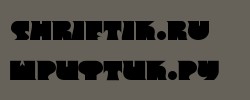 Frant Bold 