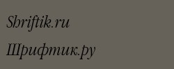 Garamond Narrow Italic 
