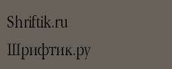 Garamond Narrow 