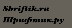 GaramondBookCTT BoldItalic 