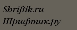 GaramondBookCTT Italic 