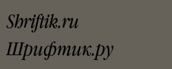 GaramondBookNarrowCTT Italic 