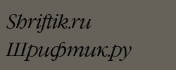 GaramondCTT Italic 