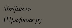 GaramondNo4CyrTCYLig Italic 