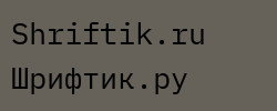 IBM Plex Mono Regular 
