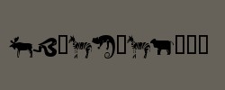 KR Menagerie 