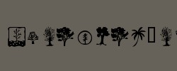 KR Trees 