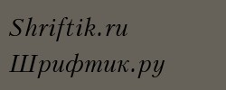 Kudriashov Italic 