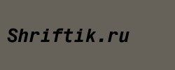 Monospace 821 Bold Italic BT 