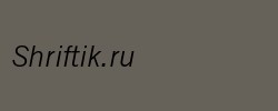 News Gothic MT Italic 