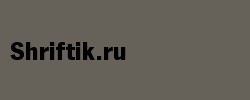 NewsGotT Bold 