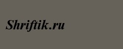 NewtonC Bold Italic 