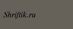 NewtonDOSCTT Italic 