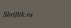 NimbusRomDGR Italic 