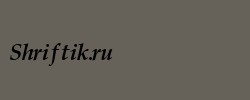 Palatino Cyrillic Bold Italic 