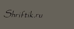 Paradox Italic 