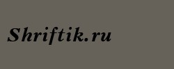 Peterburg Bold Italic 