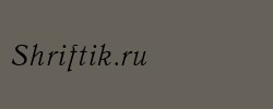 QuantAntiquaC Italic 