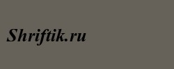 Times New Roman CE Bold Italic 