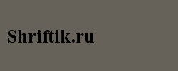 Times New Roman CE Bold 