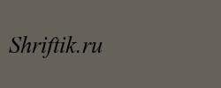 Times New Roman CE Italic 