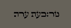 Torah Sofer 