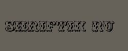Wild West Shadow 